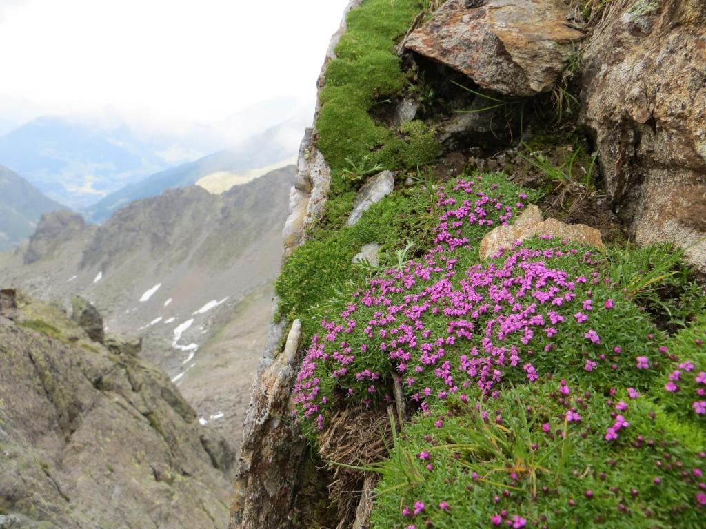 Hotel Jennys Schloessl Serfaus Dış mekan fotoğraf