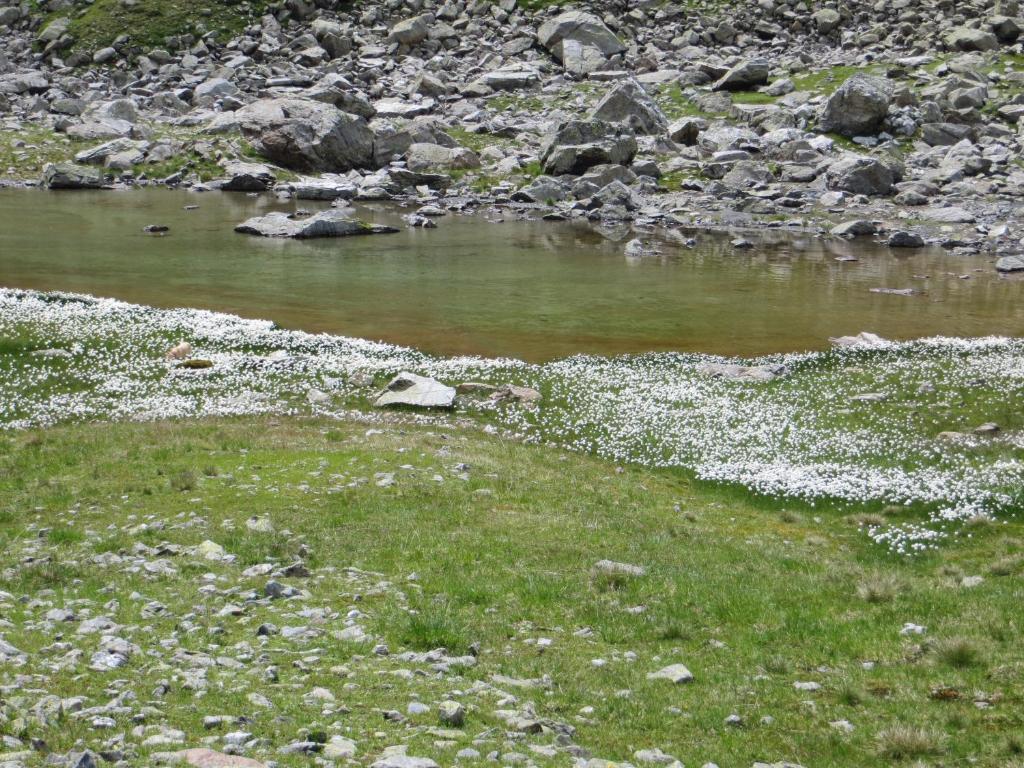Hotel Jennys Schloessl Serfaus Dış mekan fotoğraf